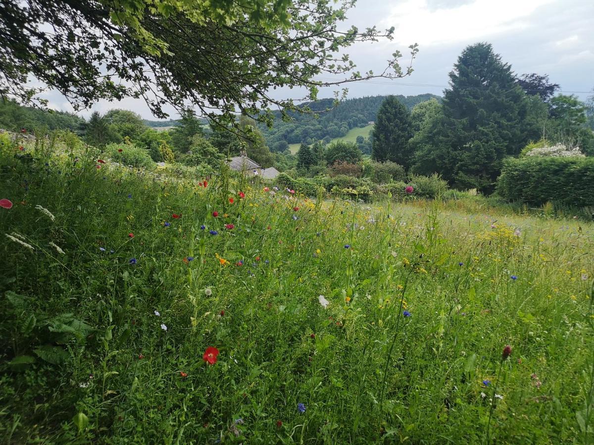 1 Bed Studio In Two Dales Near Matlock & Bakewell Esterno foto